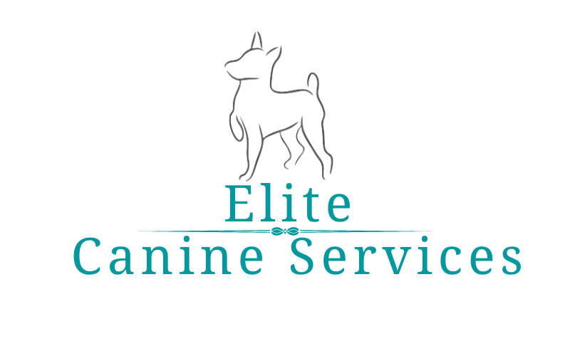 Elite canine training 2025